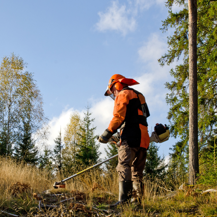 Lujanen Holz2 (9)